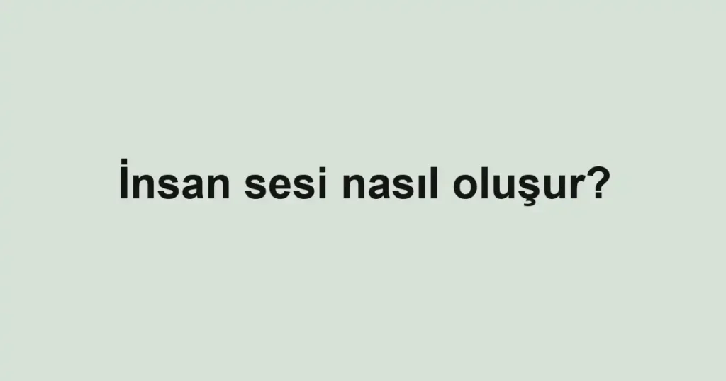 insan-sesi-nasil-olusur